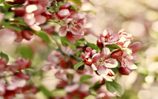509436 (a): :2560x1600